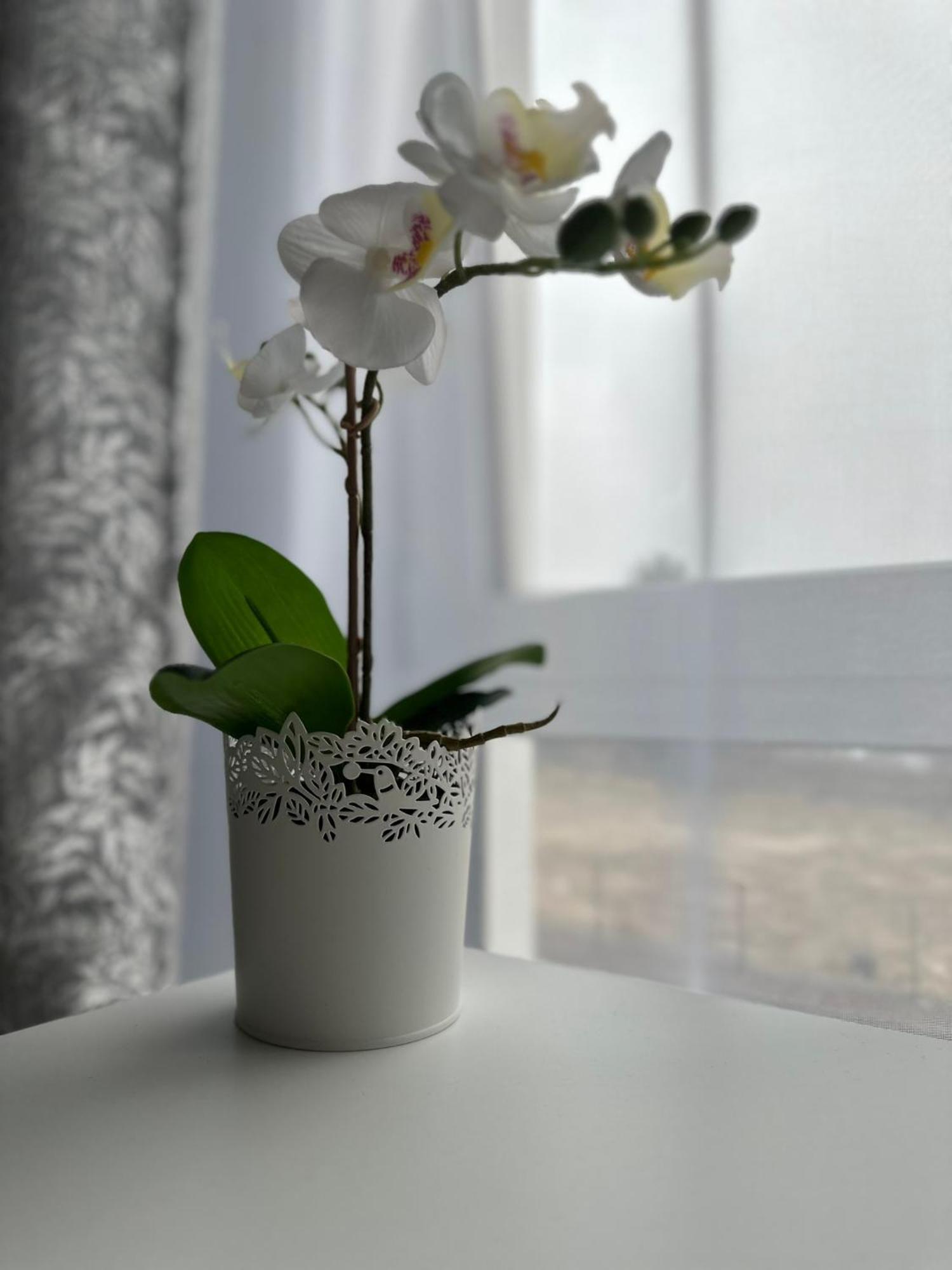 Premium - Orchidea - Self Check-in * Rzeszow
